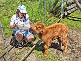 Sandra Feeding Clarabell_DSCF4896